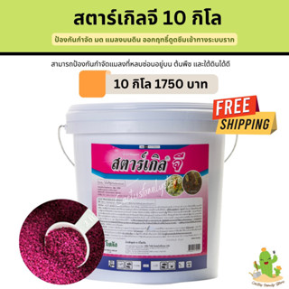 สตาร์เกิล จี (Starkle G) 10กิโล