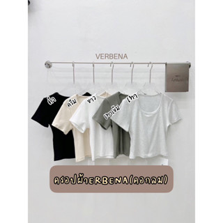 เสื้อครอป ป้าย ERBENA