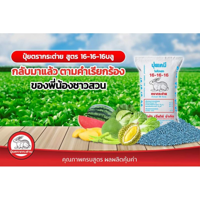 ปุ๋ย16-16-16BLUEพรีเมี่ยม(แบ่งขาย500gและ950g/ประหยัดค่าส่ง) ปุ๋ยตรากระต่าย16-16-16 ปุ๋ยสูตรเสมอ