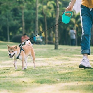 Automatic dog leash สายจูงสุนัขออโต้เมติก า