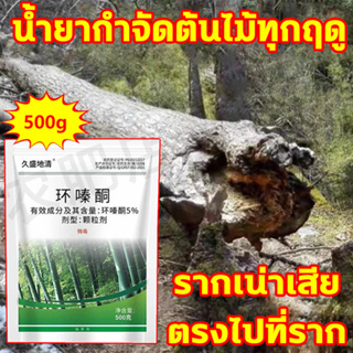 🔥ตรงไปที่ราก🔥 ยากำจัดต้นไม้ สารกำจัดกอไผ่ 500g ผงกำจัดต้นไผ่ ยาฆ่าตอไม้ กำจัดวัชพืชรากเน่า ไม่เป็นอันตรายต่อดิน