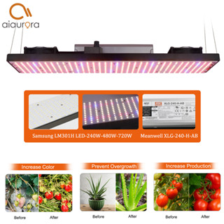 240w Led grow light ปรับได้ SamsungLM301H สำหรับเต็นท์ปลูกพืช Meanwell Driver