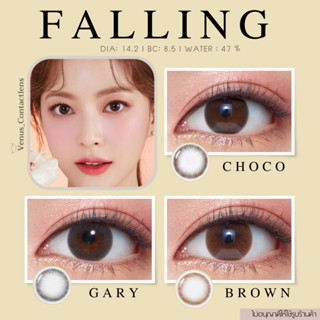 คอนแทคเลนส์ Falling ✨ ยี่ห้อ GAEZZ ; Color Choco / Almond / Gary / ( สายตาปกติ )