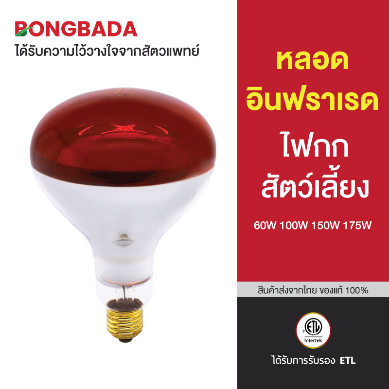หลอดไฟอินฟาเรด  ขั้วE27 หลอดกกลูกไก่ ลูกหมู 60W 100W 150W 175W+โคม หลอดฮีตเตอร์อินฟาเรด
