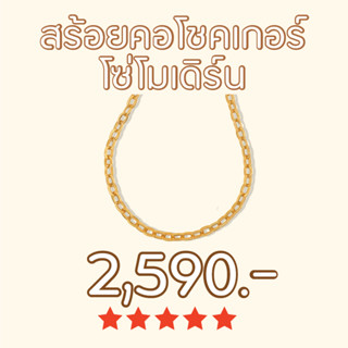 Shependence สร้อยโชคเกอร์โซ่โมเดิร์น (Modern Chain Choker)