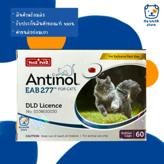 Antinol Cat 60 Caps อาหารเสริมบำรุงข้อสำหรับแมว (หมดอายุ 04/2024)