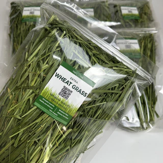 ✨ใหม่ 2026✨ หญ้ากระต่าย || วีทกลาส || Wheatgrass อบลมร้อน คัดพรีเมี่ยม สำหรับสัตว์ฟันแทะทุกชนิด