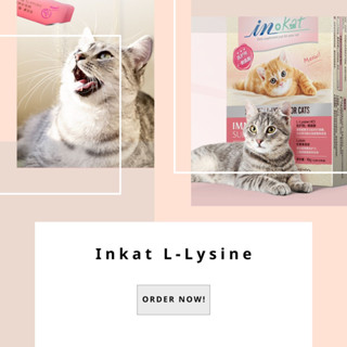 Inkat L-Lysine ดูแลสุขภาพทางเดินหายใจ ระบบภูมิคุ้มกัน และดวงตา