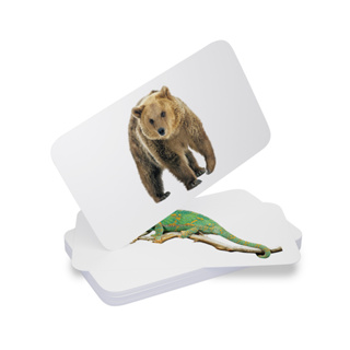แฟลชการ์ดสัตว์ป่า แผ่นใหญ่ Flash card Wild Animals KP015 Vanda learning