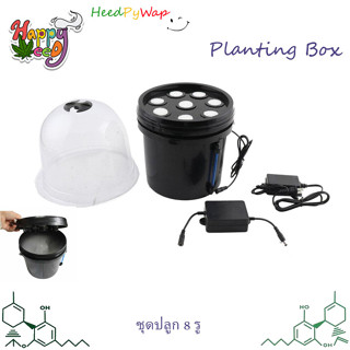 Hydroponics Seedling &amp; Cloning System Aeroponic Propagation Kit 8 Plant Cloning Box Set ถังงโคลนนิ่ ถังคัดฟีโน 8 รู