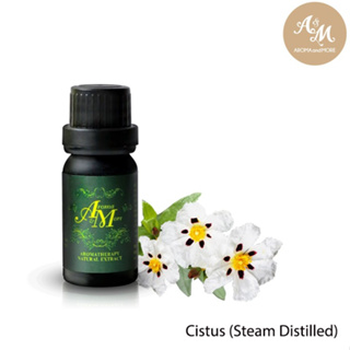 Aroma&amp;More  Cistus (Rock Rose) Essential Oil 100%, Spain น้ำมันหอมระเหย ซีสตัส 100%, สเปน 100ML