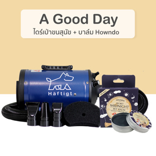 A Good Day Set [ไดร์ Haftigt + บาล์ม Howndo]