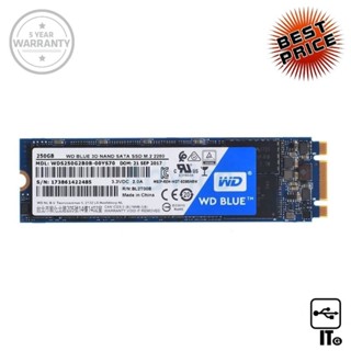 250 GB SSD M.2 WD BLUE 3D NAND (WDS250G2B0B) SATA M.2 2280 ฮาร์ดดิส ฮาร์ดดิสก์ ฮาร์ดดิสก์ ประกัน 5Y