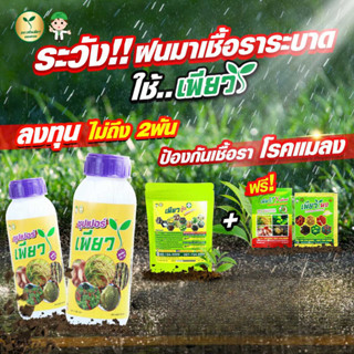 ซื้อ 3 แถม 2 บำรุงพืชได้ทั้งทางดิน และทางใบ ไร้โรคแมลง และเชื้อรา ได้ในชุดเดียว