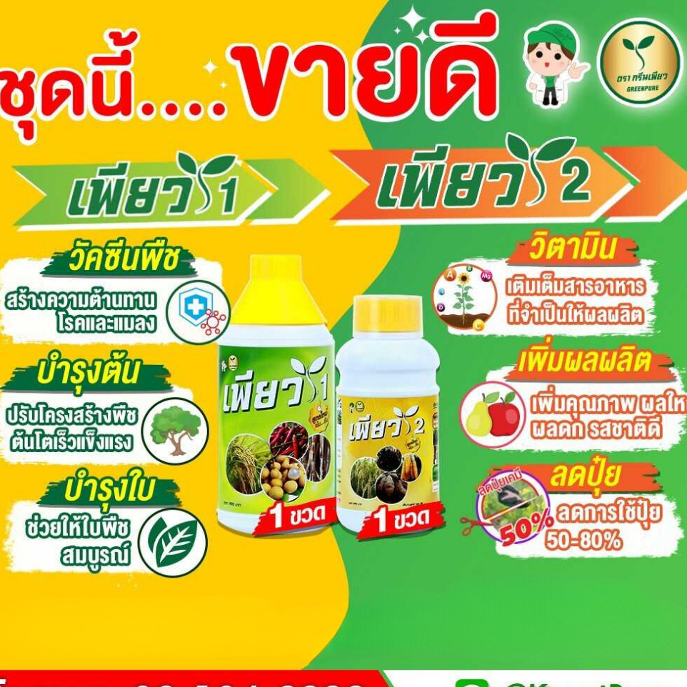 เพียว1 เพียว2 เร่งโต เร่งเขียว เร่งผลผลิต ชุดเต็มประสิทธิภาพ สินค้าเกษตรยอดนิยม Green Pure(กรีนเพียว)(อย่างละ 1ขวด)