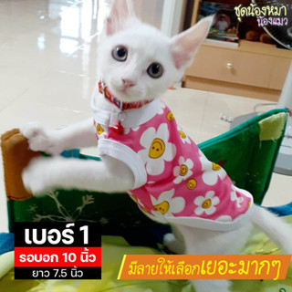 เบอร์ 1 เสื้อน้องหมา-น้องแมว รอบอก 10 นิ้ว