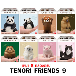 พร้อมส่ง เหมา Bandai Tenori Friends 9 โมเดลสัตว์ น่ารัก Model Figure Baby Red Panda Marmot Tanuki Cat ลิขสิทธิ์แท้