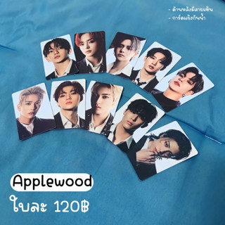 การ์ดแท้ treasure reboot (applewood กันน้ำ)