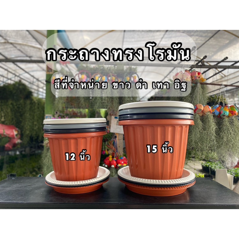!ถูก และทน! กระถางพลาสติก ทรงโรมัน กระถางพร้อมจานรอง