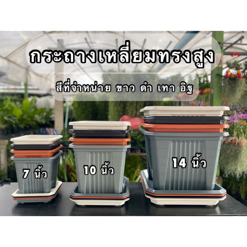 กระถางพลาสติก ทรงสูง พร้อมจานรอง ขนาด 7 นิ้ว/10นิ้ว/14 นิ้ว เป็นพลาสติกเกรด A หนา ทน