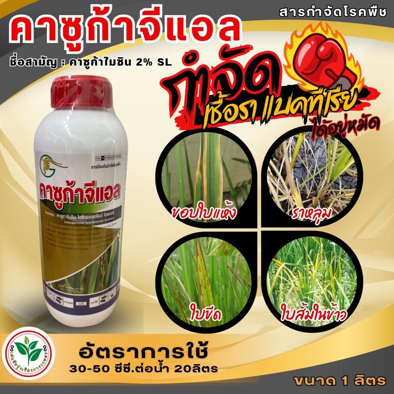 คาซูก้าจีแอล คาซูก้ามัยซิน 2% SLสารป้องกำจัดโรคใบไหม้ ขอบใบเเห้ง โรคเน่าคอรวงในข้าว โรคใบเน่า โรคโคนเน่ คาซูก้าไมซิน