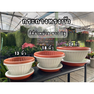กระถางบัว พร้อมจานรอง พลาสติกหนา ทนทาน **เจาะรูทักแชท