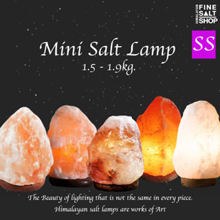 SIZE SSโคมเกลือ หิมาลายันแท้ 100% ฐานไม้ Himalayan Salt lamp wooden base 1.5-1.9 kg.