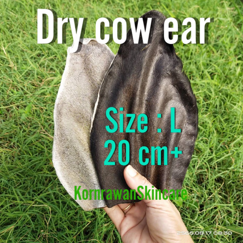 L หูวัวตากแห้งชนิดมีขน ขนาด 28+กรัม Dry ear cow for dog. ขนมหมา