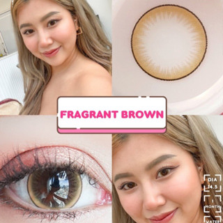 คอนเเทคเลนส์ Kittykawaii Fragrant brown dia 14.5