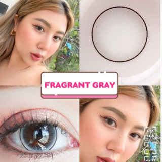 คอนเเทคเลนส์ Kittykawaii Fragrant gray dia 14.5