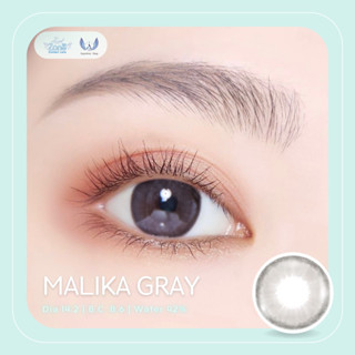 Angel Zone คอนแทคเลนส์ รุ่น 14.2 Malika Gray ( Luxury Limited Collection )(รายเดือน)