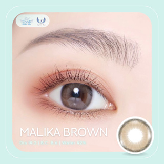 Angel Zone คอนแทคเลนส์ รุ่น 14.2 Malika Brown ( Luxury Limited Collection )(รายเดือน)