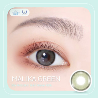 Angel Zone คอนแทคเลนส์ รุ่น 14.2 Malika Green ( Luxury Limited Collection )(รายเดือน)