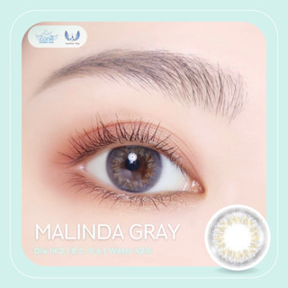 Angel Zone คอนแทคเลนส์ รุ่น 14.2 Malinda Gray ( Luxury Limited Collection )(รายเดือน)