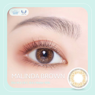 Angel Zone คอนแทคเลนส์ รุ่น 14.2 Malinda Brown ( Luxury Limited Collection )(รายเดือน)