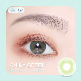 Angel Zone คอนแทคเลนส์ รุ่น 14.0 Anika Green ( Luxury Limited Collection )(รายเดือน)