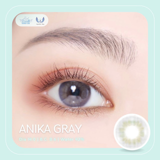 Angel Zone คอนแทคเลนส์ รุ่น 14.0 Anika Gray ( Luxury Limited Collection )(รายเดือน)