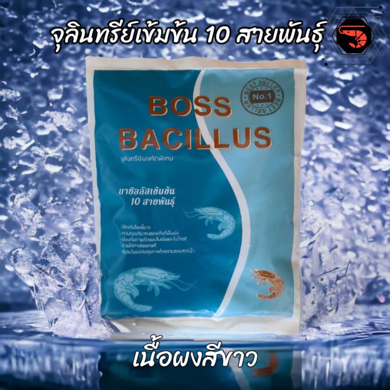จุลินทรีย์เข้มข้น บาซิลัส 10 สายพันธุ์  ชนิดเนื้อผงสีขาว ขนาด 1 กิโลกรัม