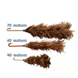 ไม้ปัดขนไก่ ขนธรรมชาติ Feather duster( มี 3 ขนาด 40,60,70 CM. )