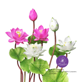 Handitop ดอกบัวประดิษฐ์ขนาดเล็กรวมชุดสวยเหมือนของจริงมาก มีข…