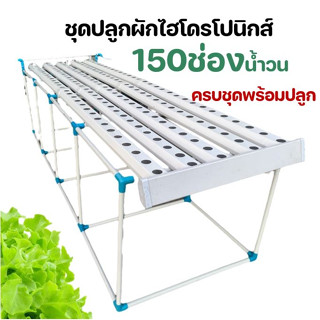 ชุดปลูกผักไฮโดรโปนิกส์น้ำวน150ช่อง hydroponic ปลูกผักไร้ดิน