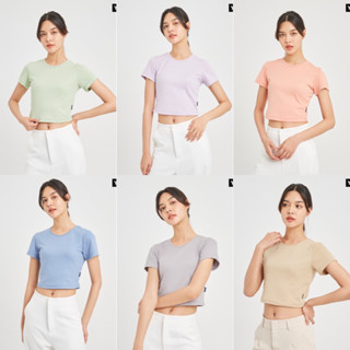 ส่งต่อ 👕 เสื้อยืดทรงครอป Baby tee ผ้านุ่มมาก แบรนด์ยืดเปล่า มี 6 สี พร้อมส่ง (มือ 1)