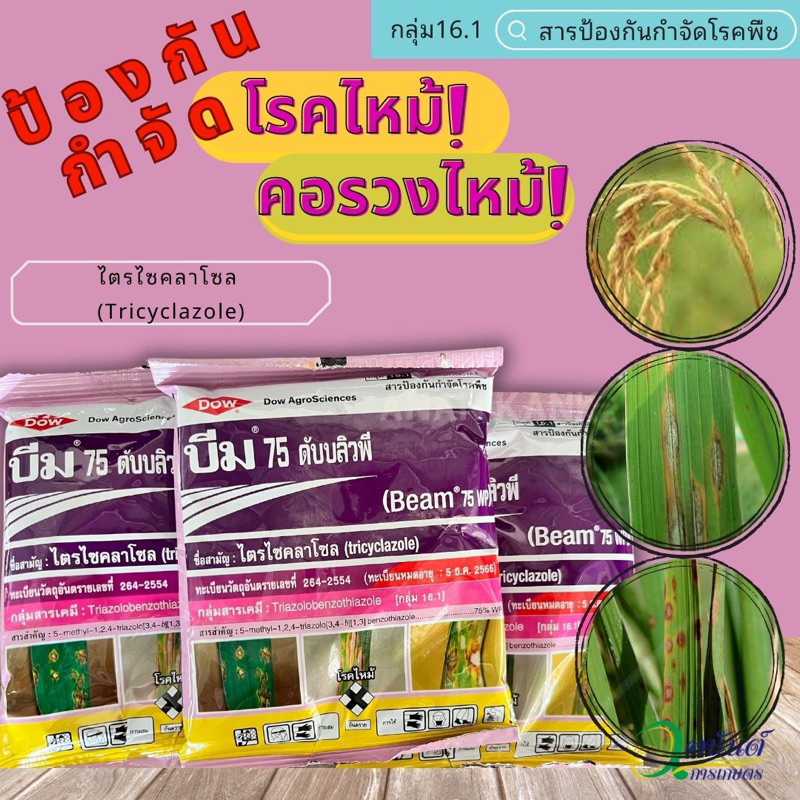 บีม75ดับบลิวพีกำจัดโรคไหม้
