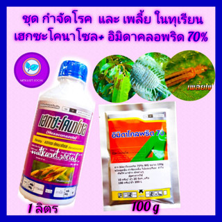 ชุด กำจัดโรค และ กำจัดเพลี้ย ในทุเรียน ยาทุเรียน เฮกซะโคนาโซล 1 L + อิมิดาโคลพริด 70%  100g โรคใบติด  แอนแทรคโนส เพลี้ย