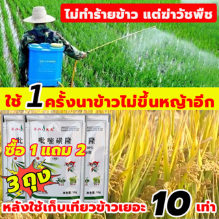 ซื้อ1ฟรี2 ใช้1ครั้ง365วันไม่ขึ้นหญ้า ยาคุมหญ้า ยาฆ่าหญ้าในนาข้าว ได้100% ยาคุมหญ้าข้าว ชีวภาพ ดูดซึม เผาไหม้