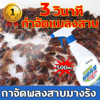 กำจัดแมลงสาบ 500ml กำจัดแมลงสาบ แมลงสาบตายทั้งรัง ที่ดักแมลงสาบ ไล่แมลงสาบ ยากำจัดแมลงสาบ