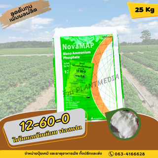 ปุ๋ย12-60-0 ปุ๋ยเกล็ด NovaMAP Monoammonium Phosphate บรรจุ 25 กิโลกรัม