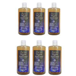 (6 ขวด) ซิลเวอร์คอลลอยด์  Silver Colloidal SCH+ น้ำแร่เงินบริสุทธิ์ ป้องกันโรค ล้างสารพิษ 1000ml.