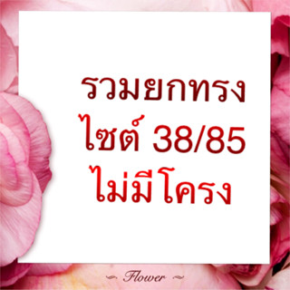 รวมยกทรงไซต์ 38/85 แบบไม่มีโครง