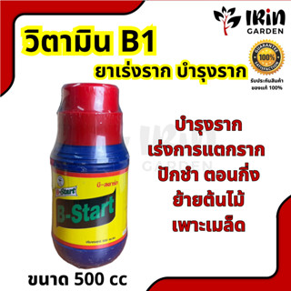 วิตามิน B1 ขนาด 500 cc บี1 ยา เร่งราก สาร บำรุงราก ของแท้ 100% เพิ่มการ แตกราก ใหม่ ให้พืชเจริญเติบโตแข็งแรง ราก B start